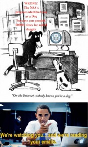 on the internet no one knows you are a dog