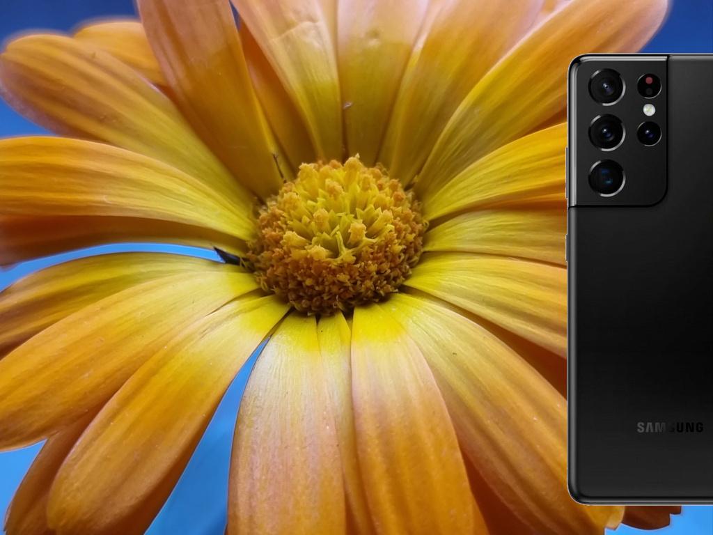 camera hardware review – photography with the Samsung S21 Ultra (SM-G998B) example sample test images fotos photography and sample 8k video – can smart phone cameras compete with the “big” ones with big lenses? – more sample pictures of flowers and moon shots